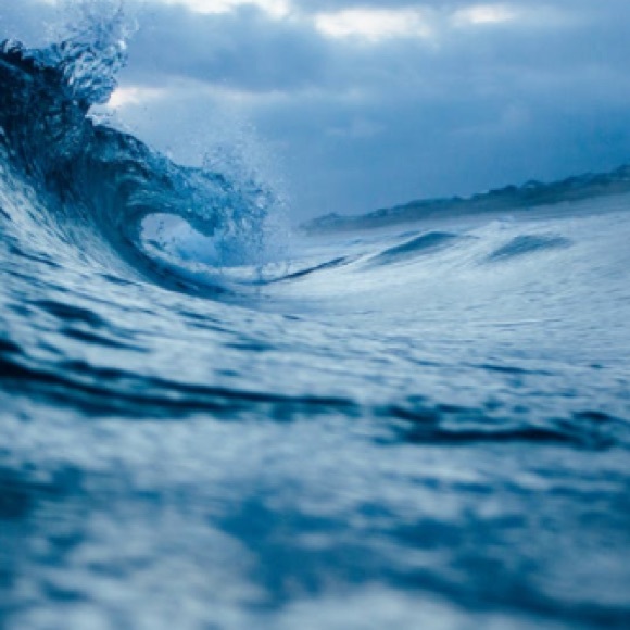 Meet your Posher, Ria - Picture 1 of 1